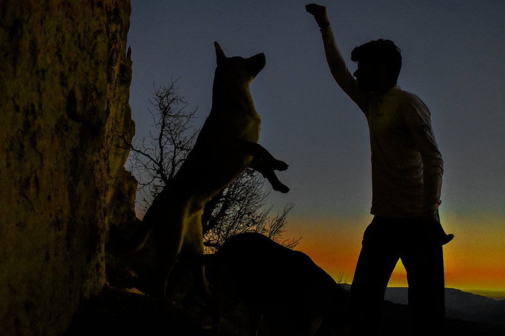 Photograph by Mohammad Sadegh Vasiei