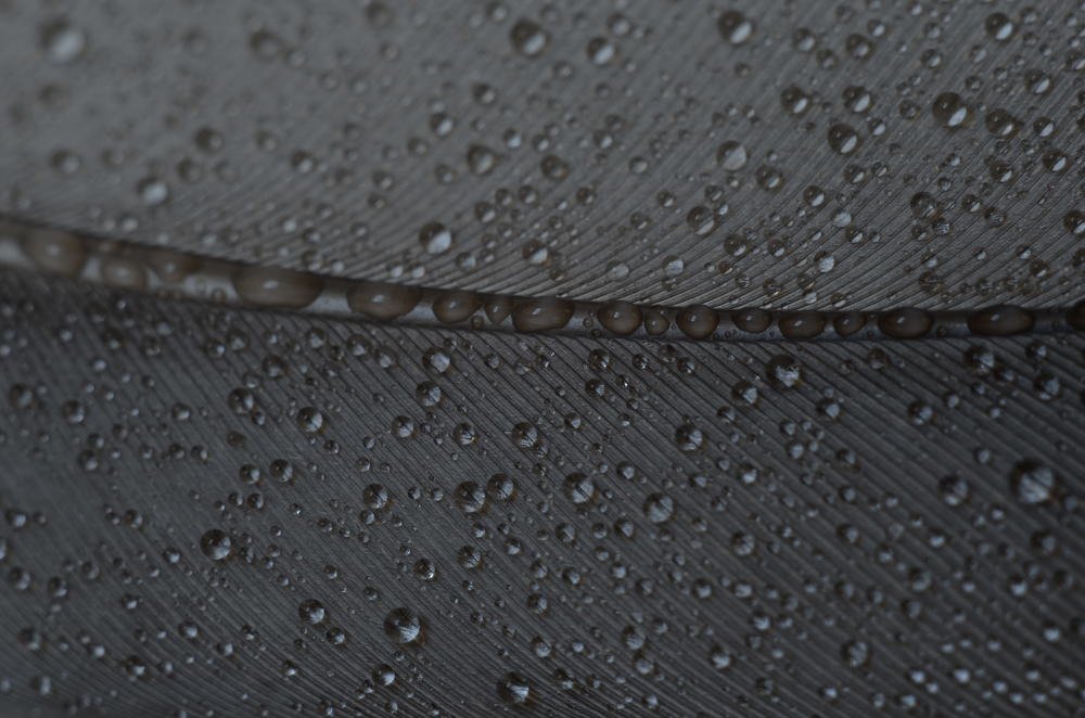 Photograph by Marina