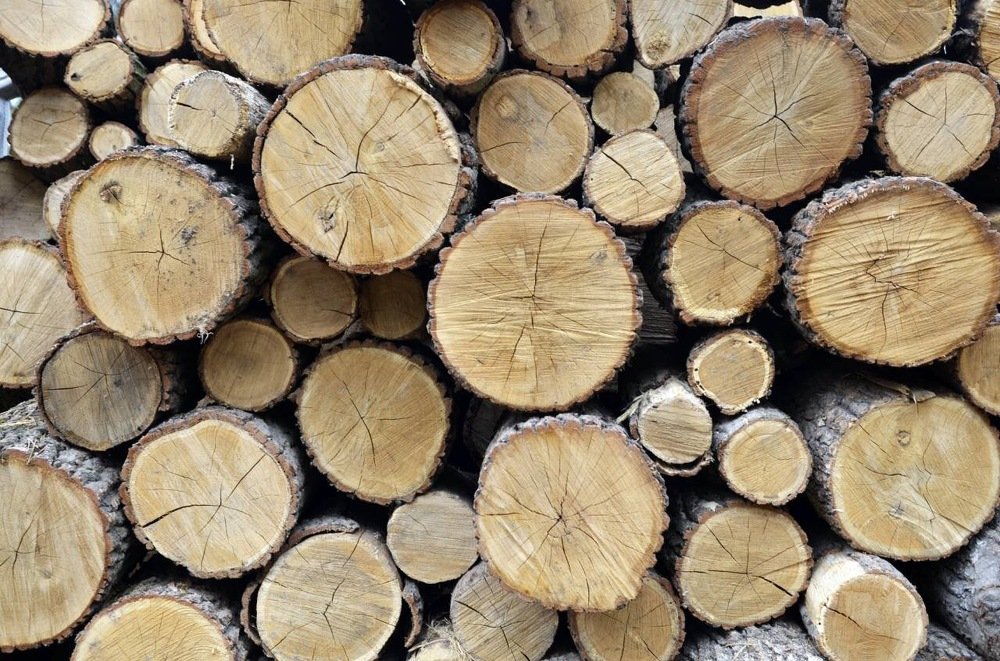 Photograph by Marina