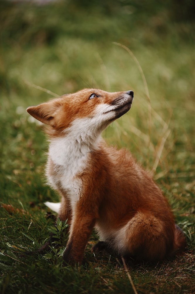 Photograph by Ксения Лысенкова