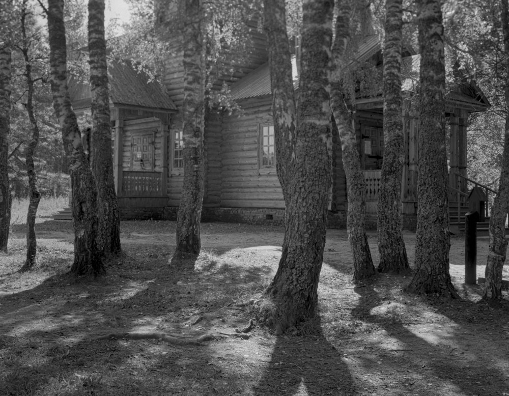 Photograph by Kuzmichev Alexey