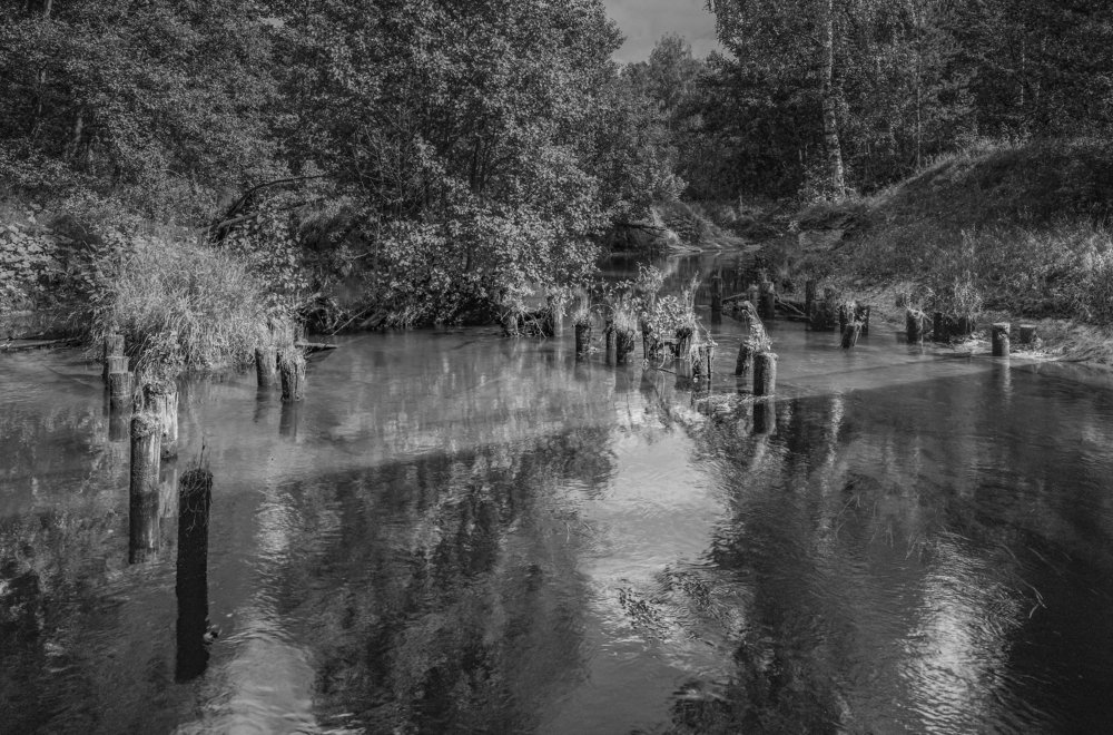 Photograph by Kuzmichev Alexey