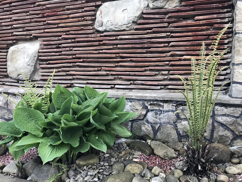 Photograph by Marina