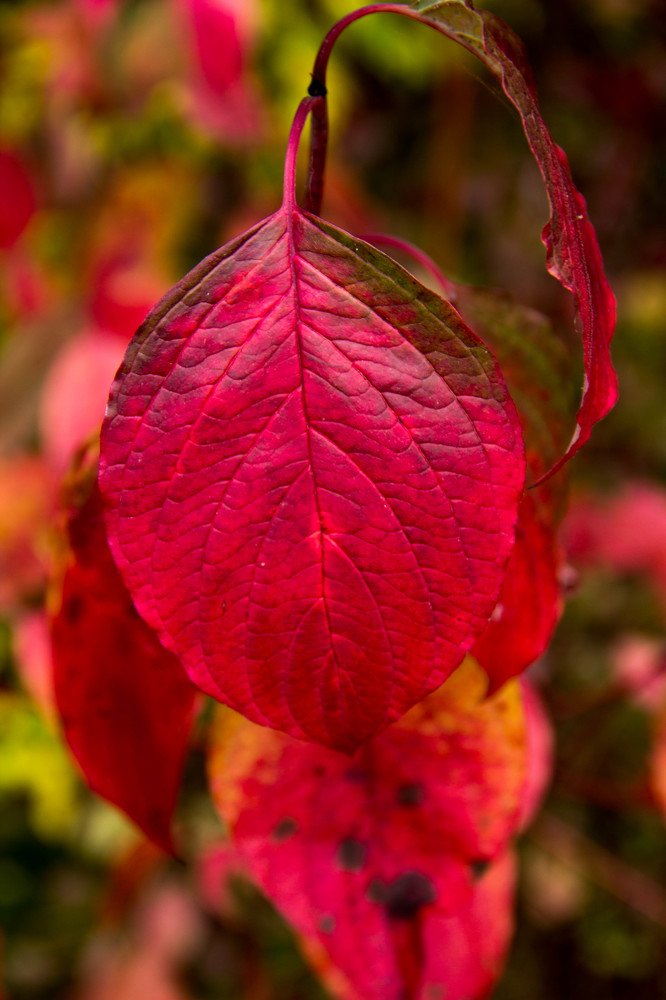 Photograph by Вадим Басов