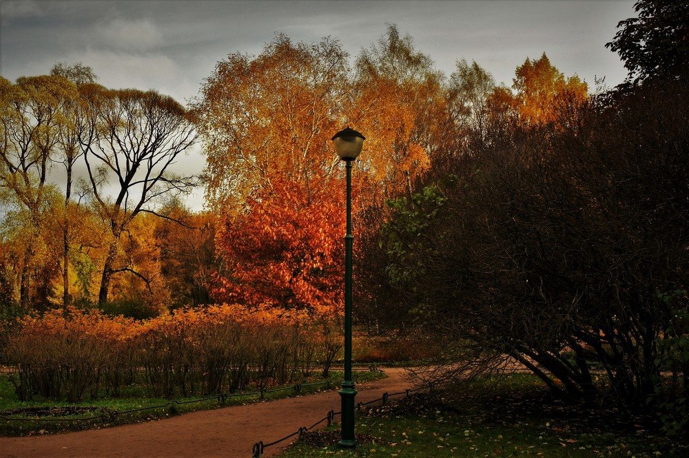 Осенняя эпоха возрождения