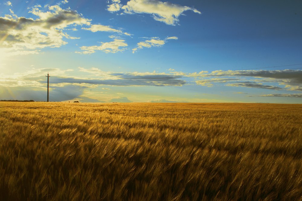 Photograph by Алексей Коротеев