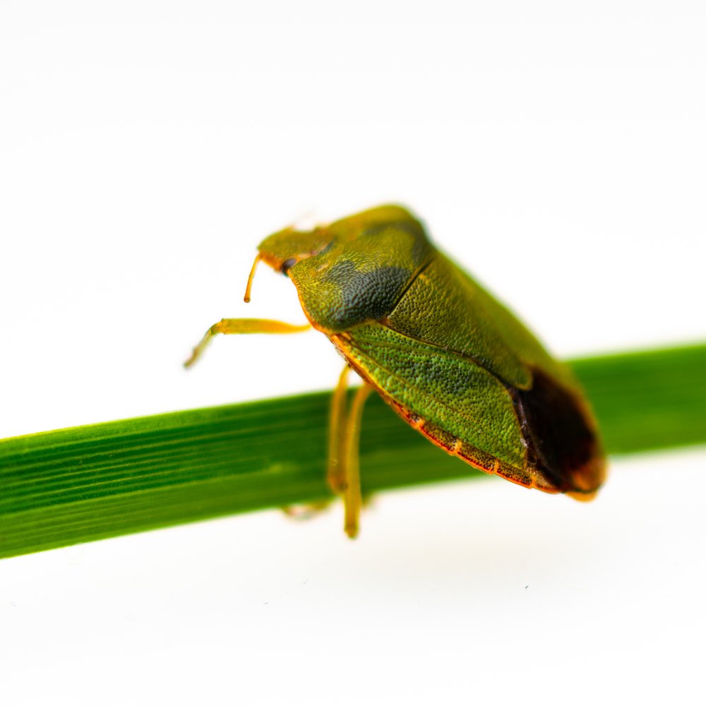 Photograph by Александр Дроздов