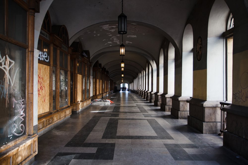 Фотография автора Елена Ельшина