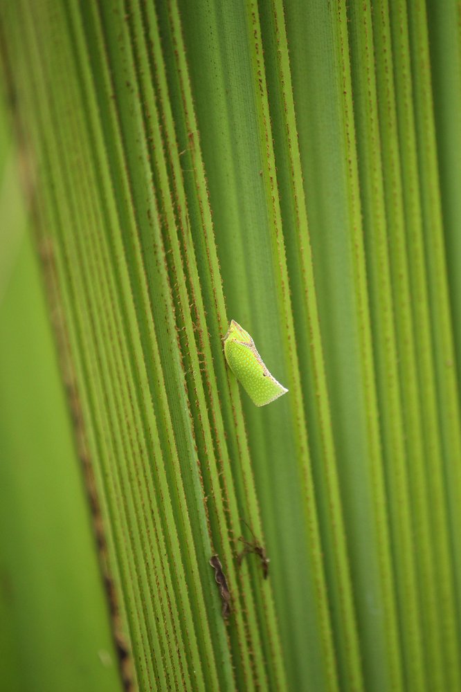 Photograph by Somnath Bhalke