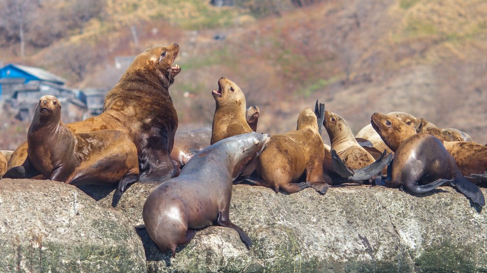 Photograph by Oleg Tolstov