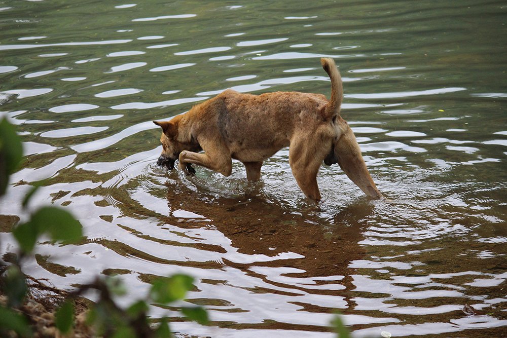 Photograph by Somnath Bhalke