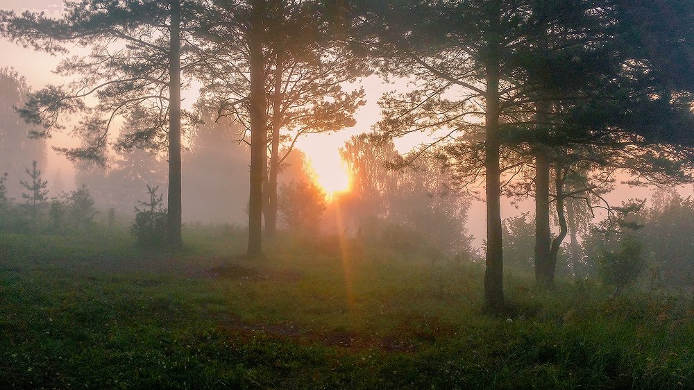 Photograph by Надежда Колеватова