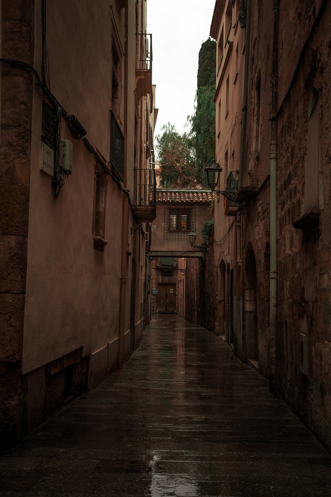 Фотография автора Елена Ельшина