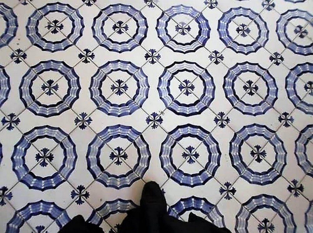 LES CERCLES DE LA VIE