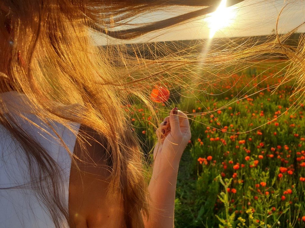 Photograph by Михаил Ноеренчук