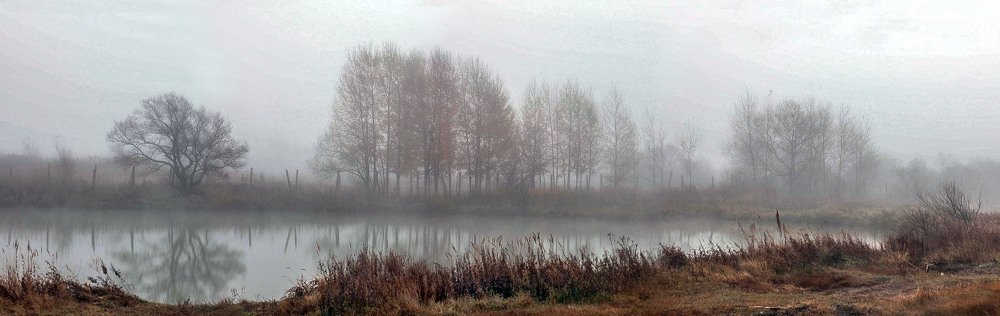 Photograph by Маргарита Федурина