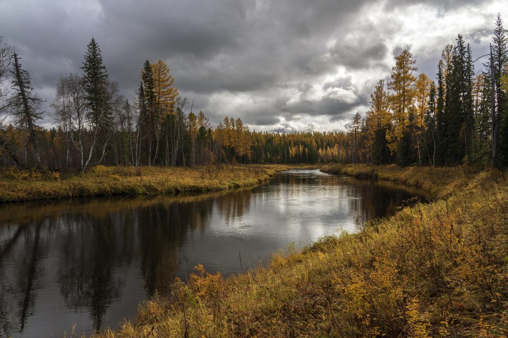 Таёжная река