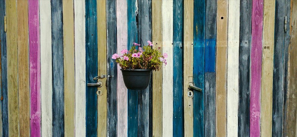 Photograph by Aleksandr Barsukov