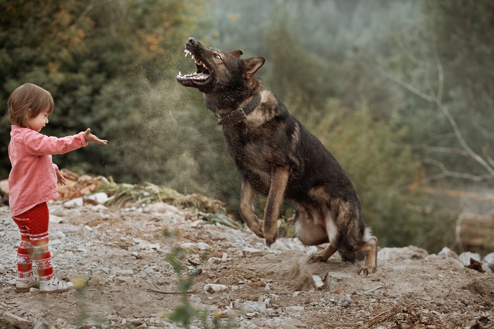 Photograph by Ирина Зайцева