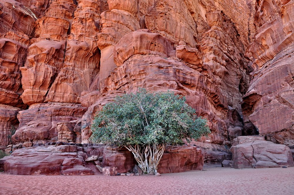 Photograph by Валентин Казанцев