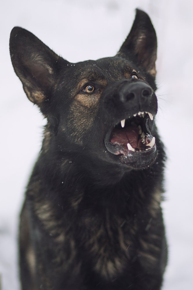 Photograph by Ирина Зайцева