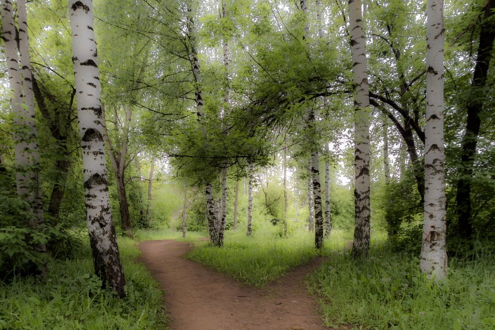 Photograph by Konstantin