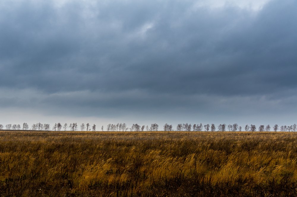 Осенние мотивы