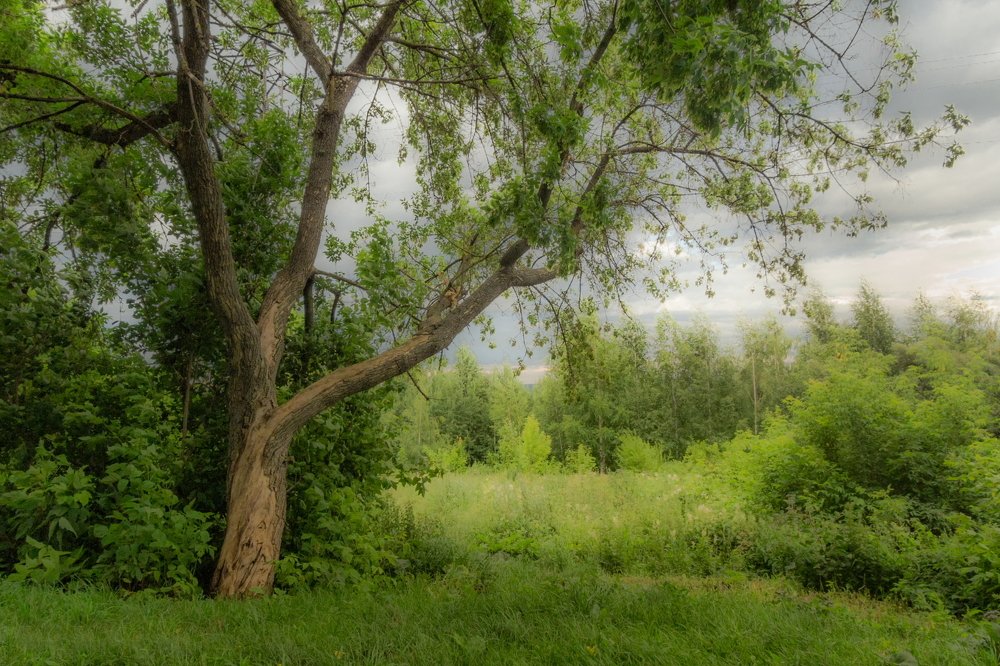 Photograph by Konstantin