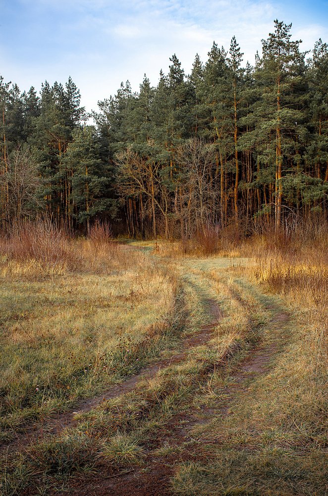 Photograph by Чурляев Максим