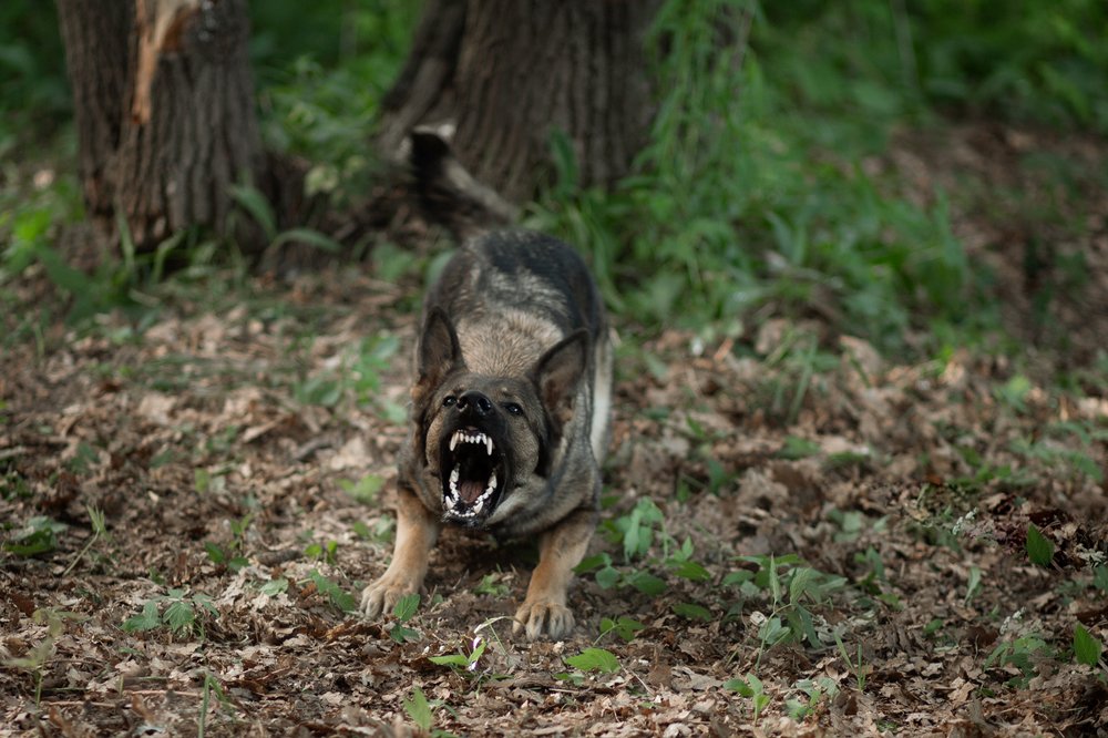 Photograph by Ирина Зайцева