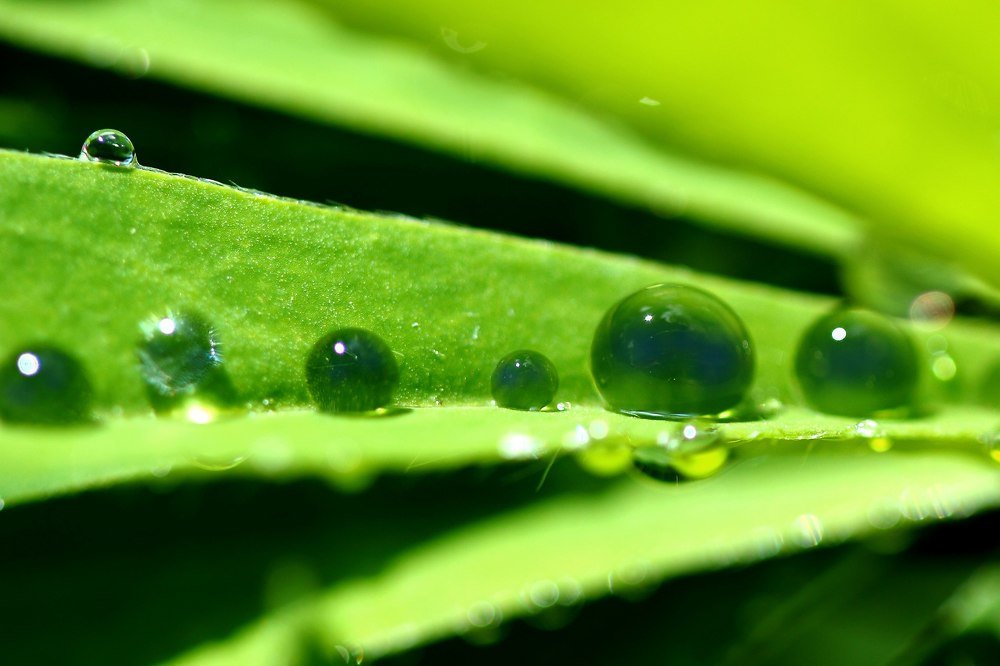 Photograph by Александр Большаков