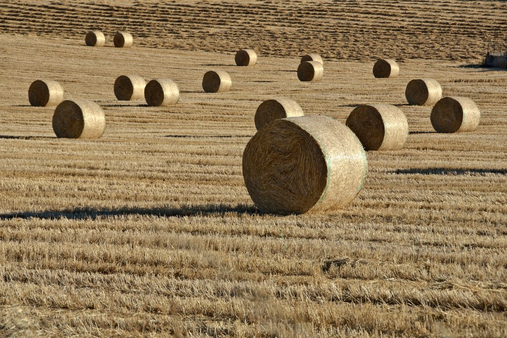Photograph by 