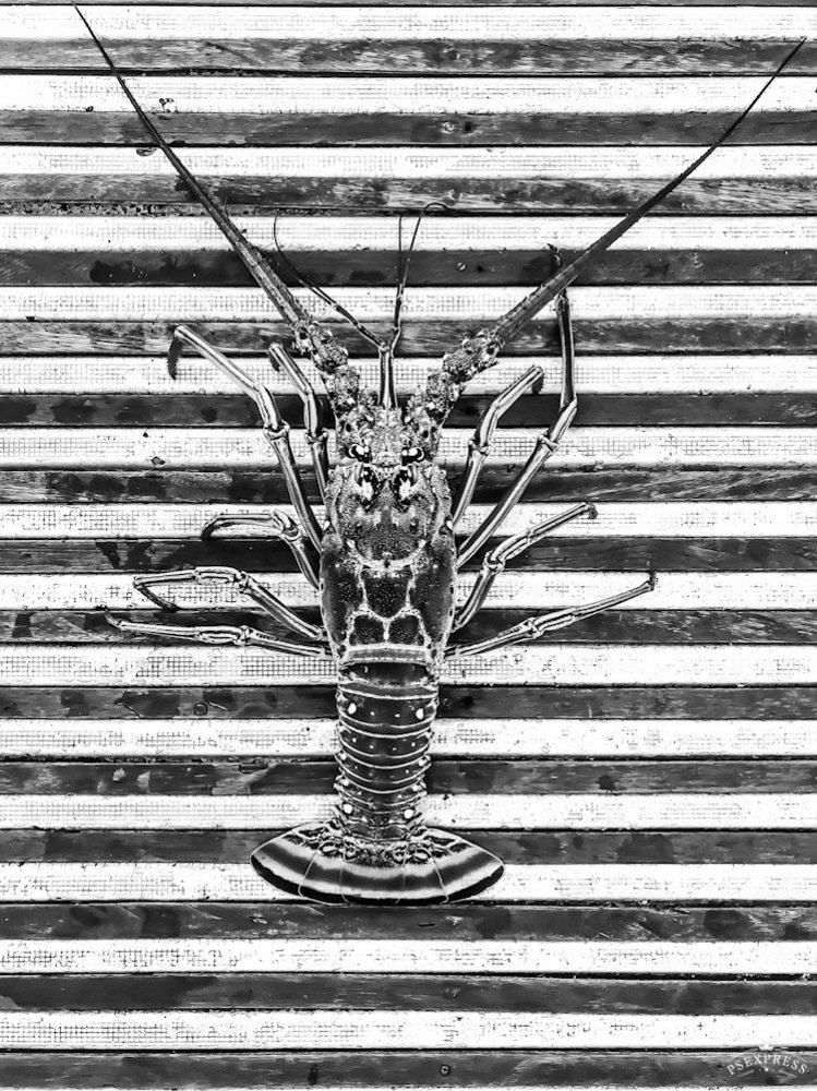 Photograph by Anastasia nenay