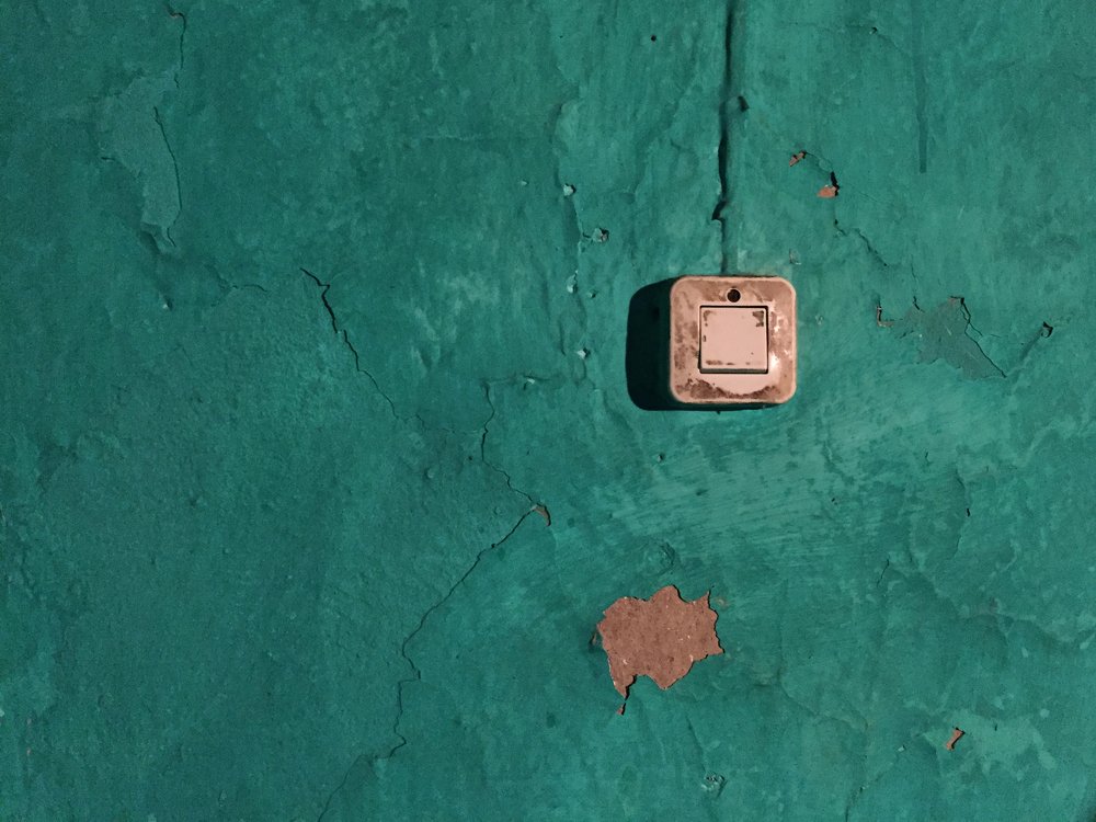 Photograph by T. Ahmadi kalkhorani