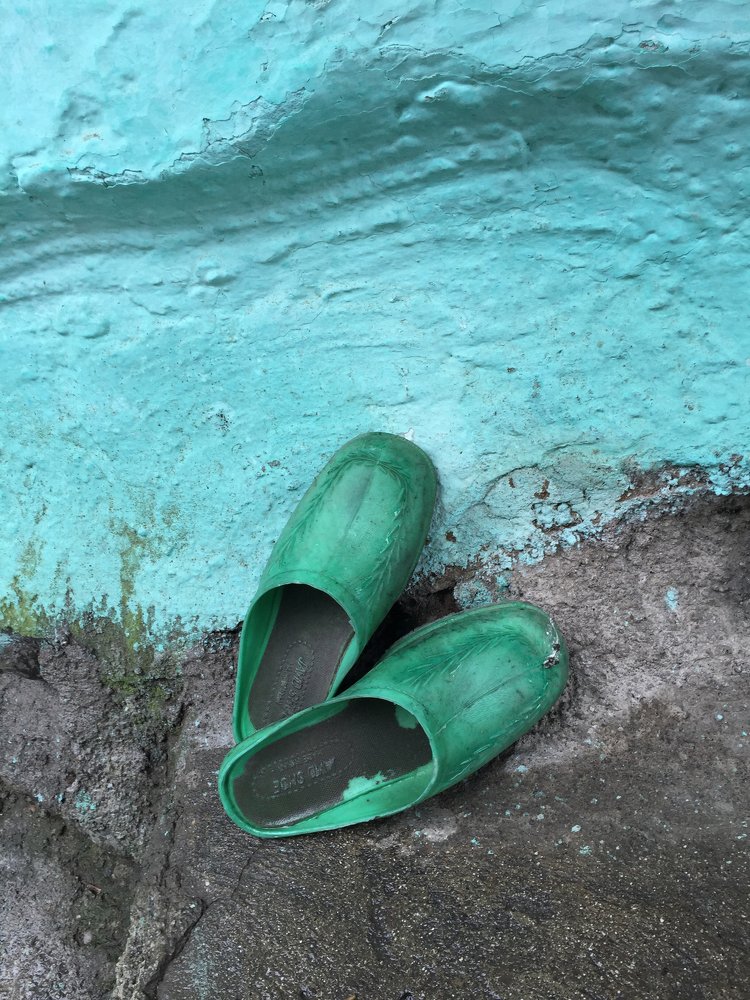 Photograph by T. Ahmadi kalkhorani