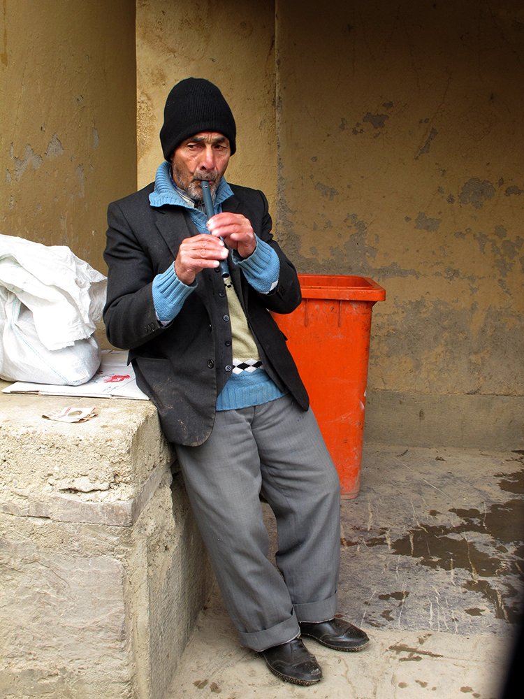 Photograph by T. Ahmadi kalkhorani