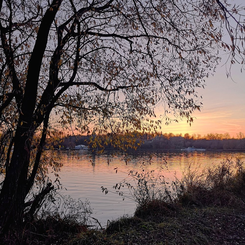 Безмолвие на закате.....