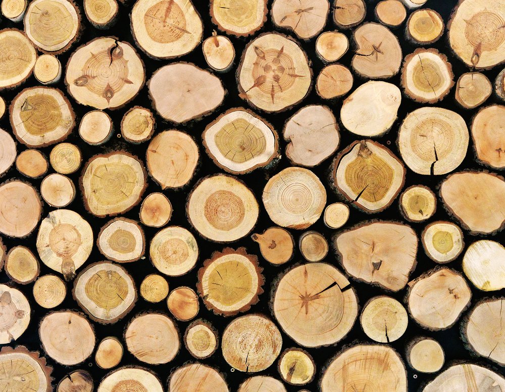 Photograph by Aeromast