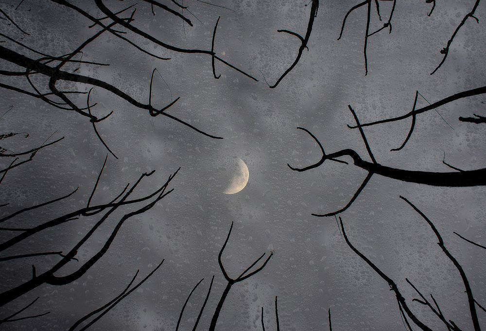 Photograph by Aeromast