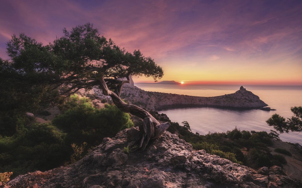 Photograph by Дмитрий Иванов