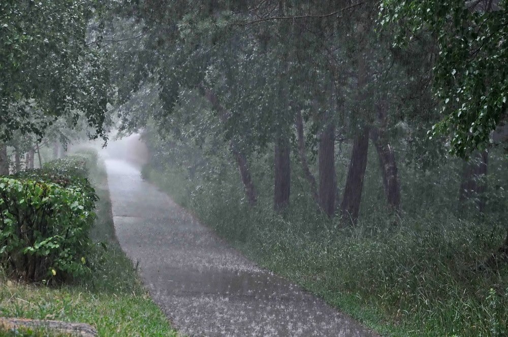 Photograph by НИНА АВЕРЬЯНОВА