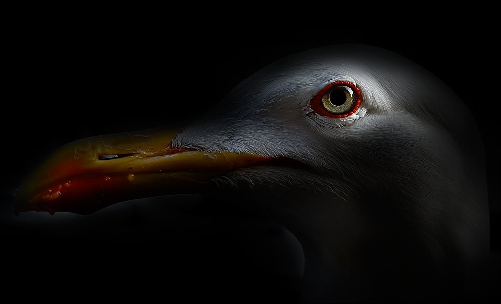 Photograph by Александр Леснянский