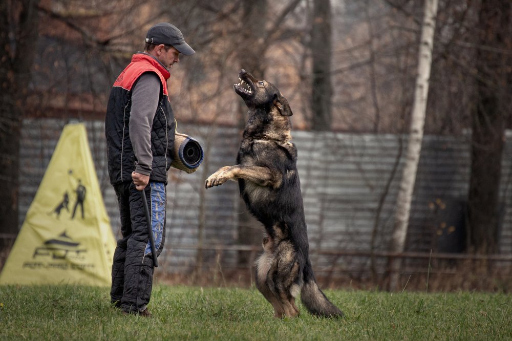 Photograph by Ирина Зайцева