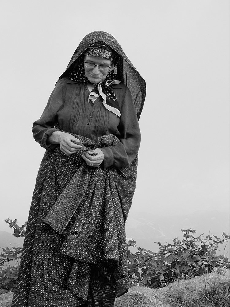 Photograph by T. Ahmadi kalkhorani