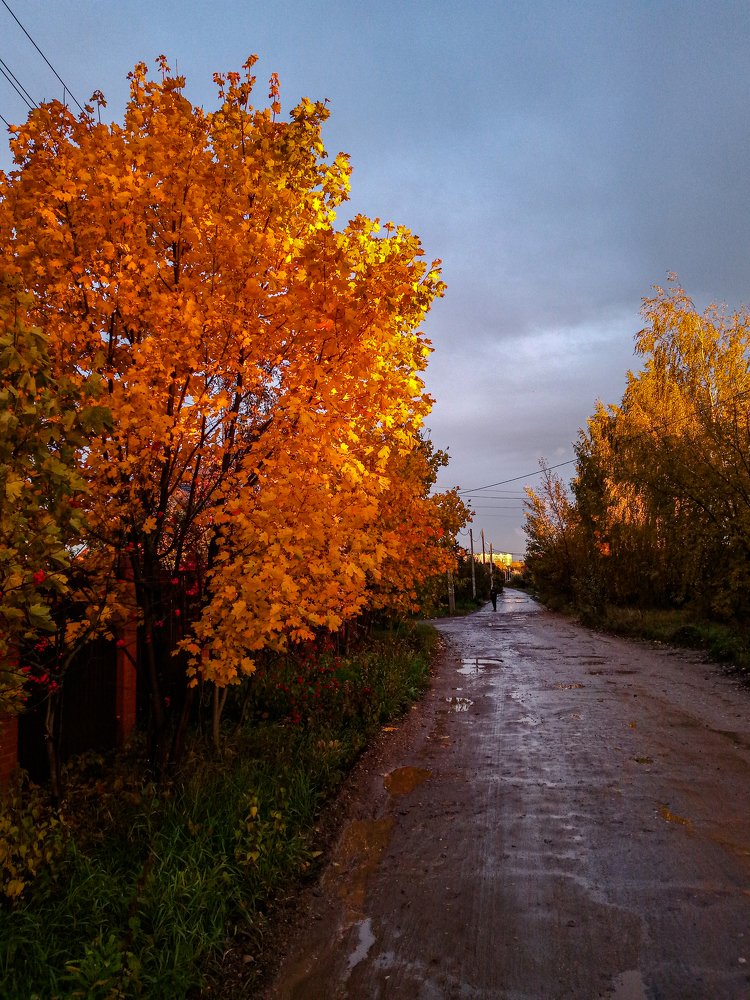 Photo #3788601