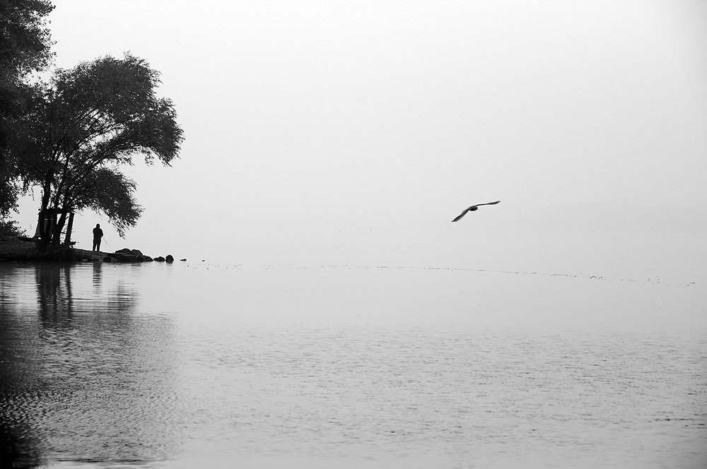 Ловись рыбка