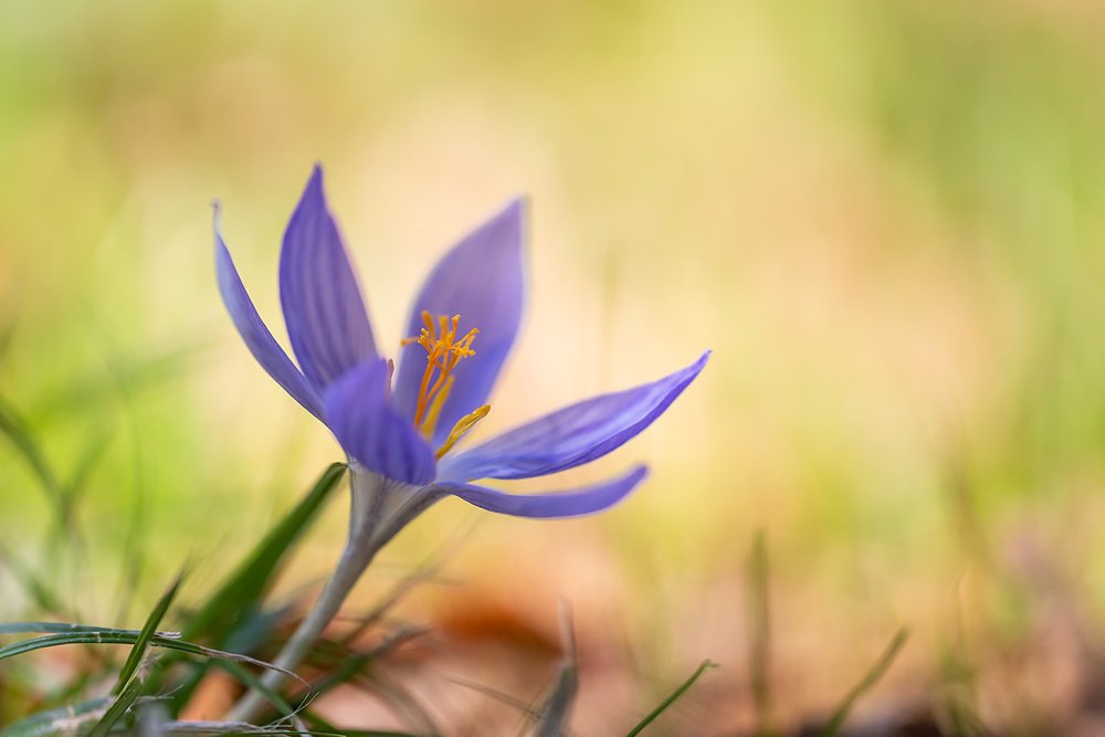 Photograph by Александр Земляной