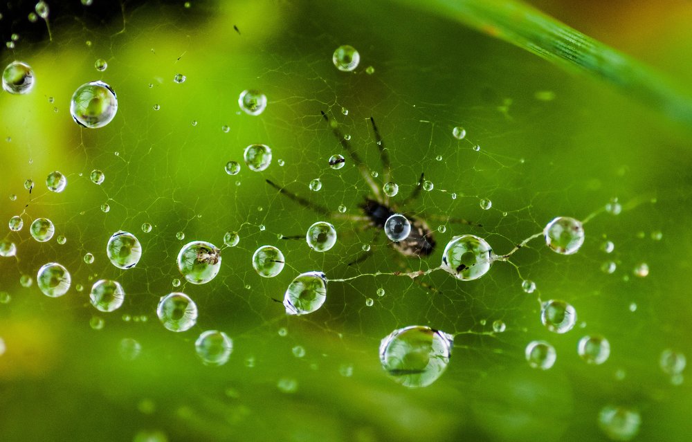 После дождя.