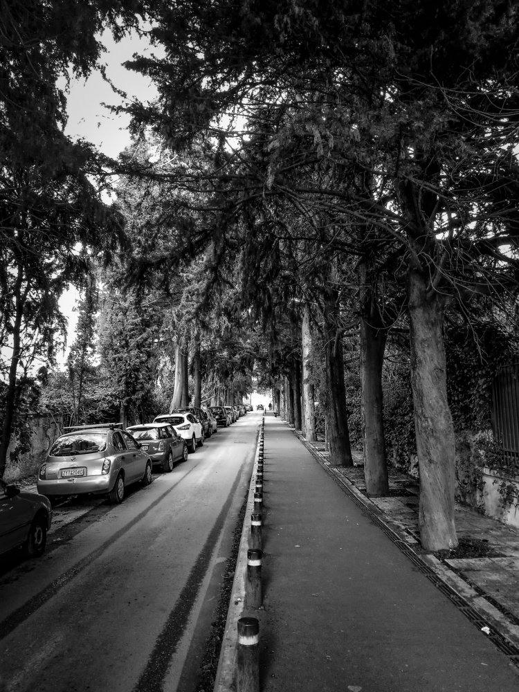 Photograph by Георгий Акопджанов