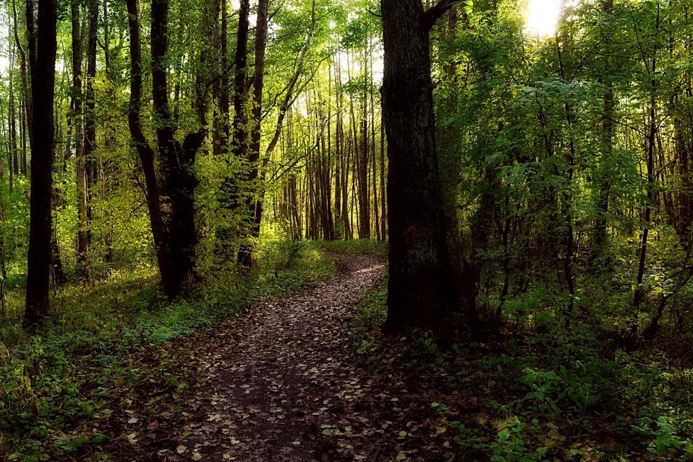 Photograph by Светлана Ковалёнок